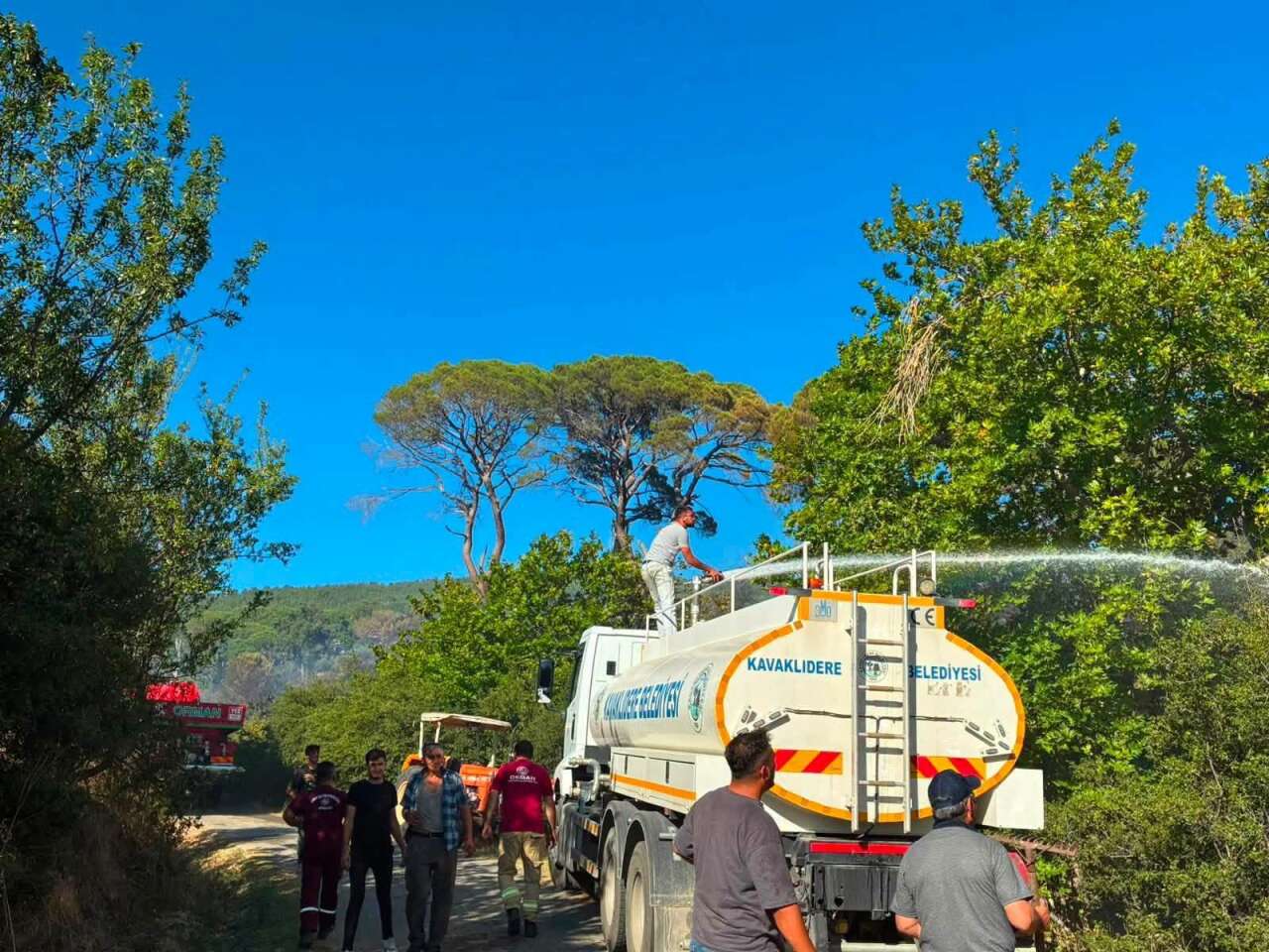 Kavaklıdere'de Orman Yangını Büyümeden Kontrol Altına Alındı 3